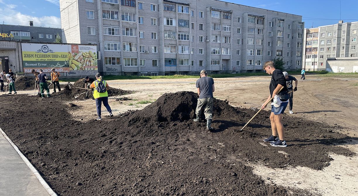 Специалисты МУП «Благоустройство» озеленят общественную территорию по улице  Глейха | 18.08.2023 | Коряжма - БезФормата