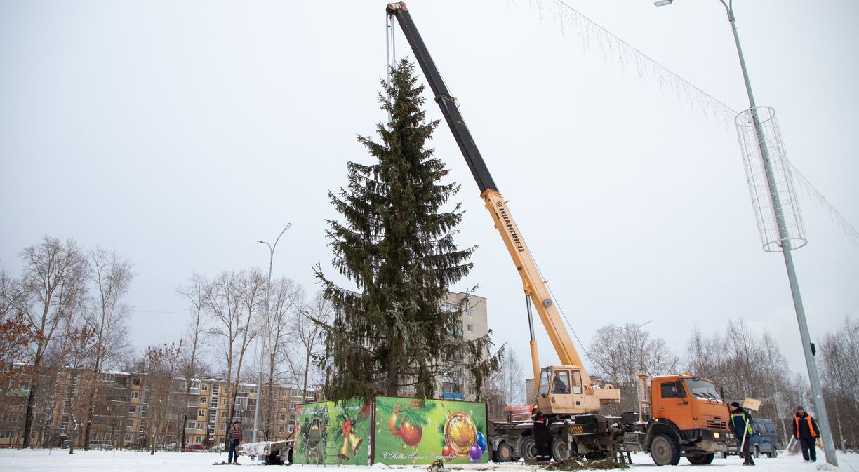 В Коряжму прибыла главная городская елка | 14.12.2023 | Коряжма - БезФормата